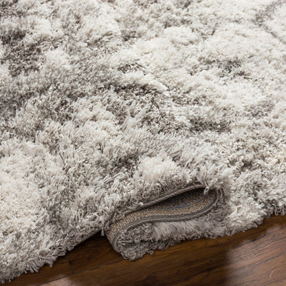 Alta Shag Rug by Livabliss in light gray, off-white, medium gray. Made from 100% polypropylene in a modern style.