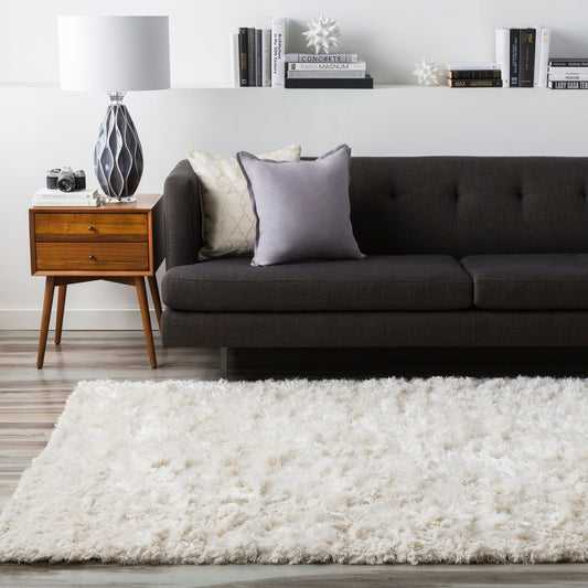 Ashton Rug - 1164 by Surya in ivory. Made from new zealand wool in a unique style.