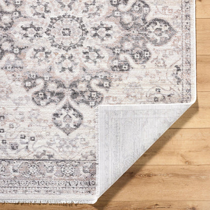 Azhar AZR-2303 Rug by Livabliss in ivory, taupe, charcoal, beige. Made from polyester in a unique style.