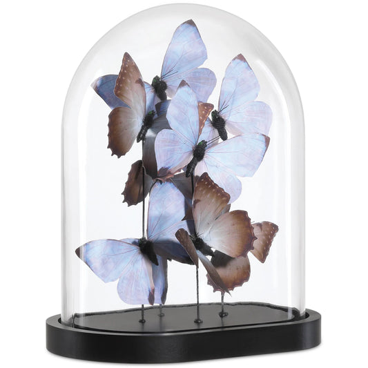 Rue De Bac Butterflies by Currey and Company. Made from paper, engineered wood, glass in a modern style.