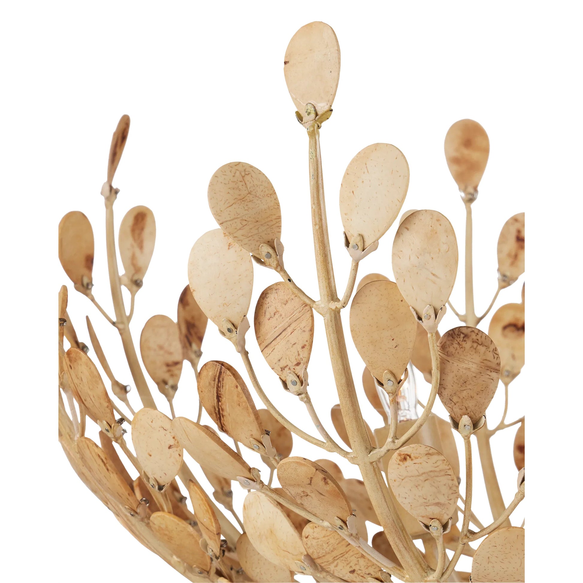 Maypan Chandelier by Currey and Company in coco cream, natural. Made from wrought iron, coco shells in a modern style.