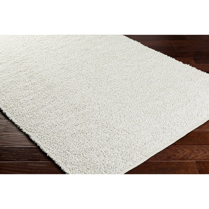 Boculette BCT-2300 Rug by Surya. Made from face: 100% polyester, warp: 100% polyester in a unique style.
