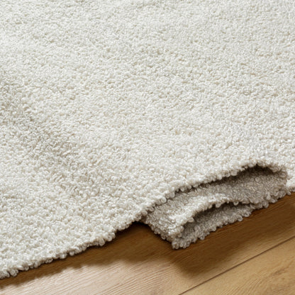 Boculette BCT-2300 Rug by Surya. Made from face: 100% polyester, warp: 100% polyester in a unique style.