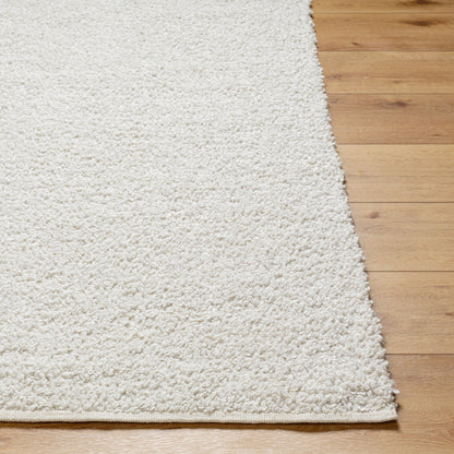 Boculette BCT-2300 Rug by Surya. Made from face: 100% polyester, warp: 100% polyester in a unique style.