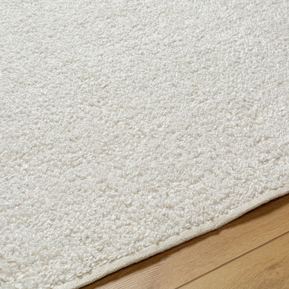 Boculette BCT-2300 Rug by Surya. Made from face: 100% polyester, warp: 100% polyester in a unique style.