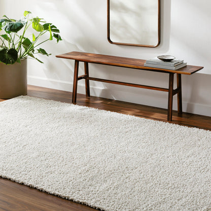 Boculette BCT-2300 Rug by Surya. Made from face: 100% polyester, warp: 100% polyester in a unique style.