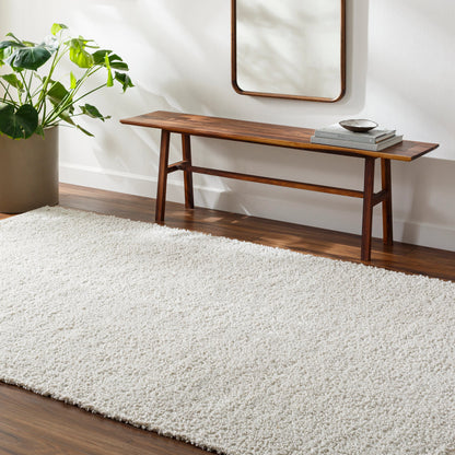 Boculette BCT-2300 Rug by Surya. Made from face: 100% polyester, warp: 100% polyester in a unique style.