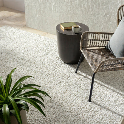 Boculette BCT-2300 Rug by Surya. Made from face: 100% polyester, warp: 100% polyester in a unique style.