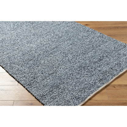 Boculette BCT-2300 Rug by Surya. Made from face: 100% polyester, warp: 100% polyester in a unique style.