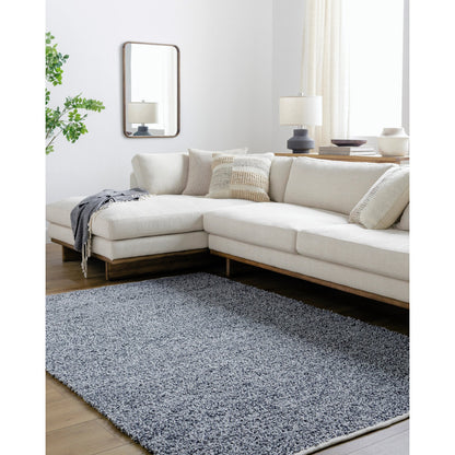 Boculette BCT-2300 Rug by Surya. Made from face: 100% polyester, warp: 100% polyester in a unique style.
