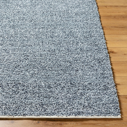 Boculette BCT-2300 Rug by Surya. Made from face: 100% polyester, warp: 100% polyester in a unique style.