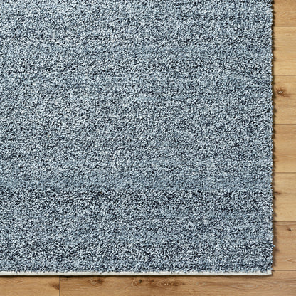 Boculette BCT-2300 Rug by Surya. Made from face: 100% polyester, warp: 100% polyester in a unique style.