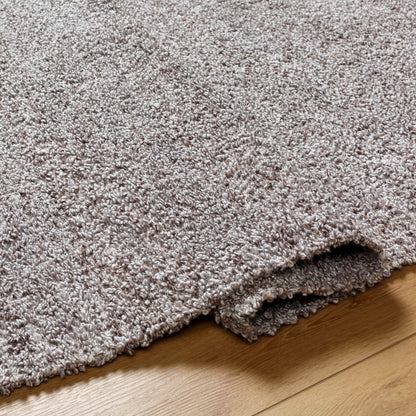 Boculette BCT-2300 Rug by Surya. Made from face: 100% polyester, warp: 100% polyester in a unique style.