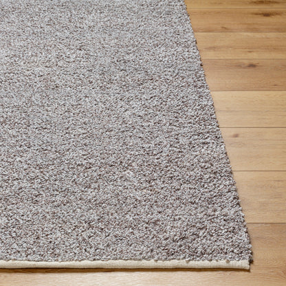 Boculette BCT-2300 Rug by Surya. Made from face: 100% polyester, warp: 100% polyester in a unique style.