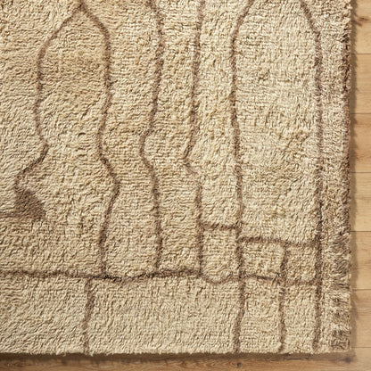 Beni Moroccan BMC-2309 Rug by Livabliss in beige, taupe, sandstone. Made from wool in a unique style.