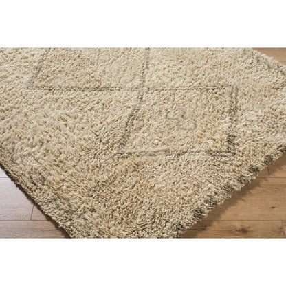 Beni Moroccan BMC-2311 Rug by Livabliss. Made from wool in a unique style.
