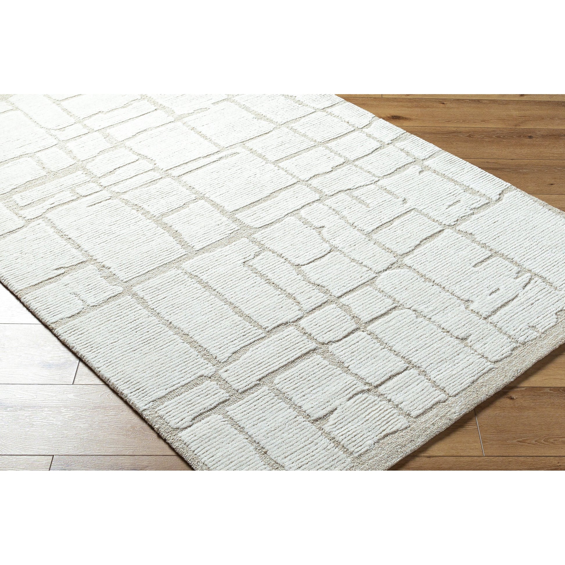 Bianca BNC-2300 Rug by Livabliss. Made from unique in a unique style.