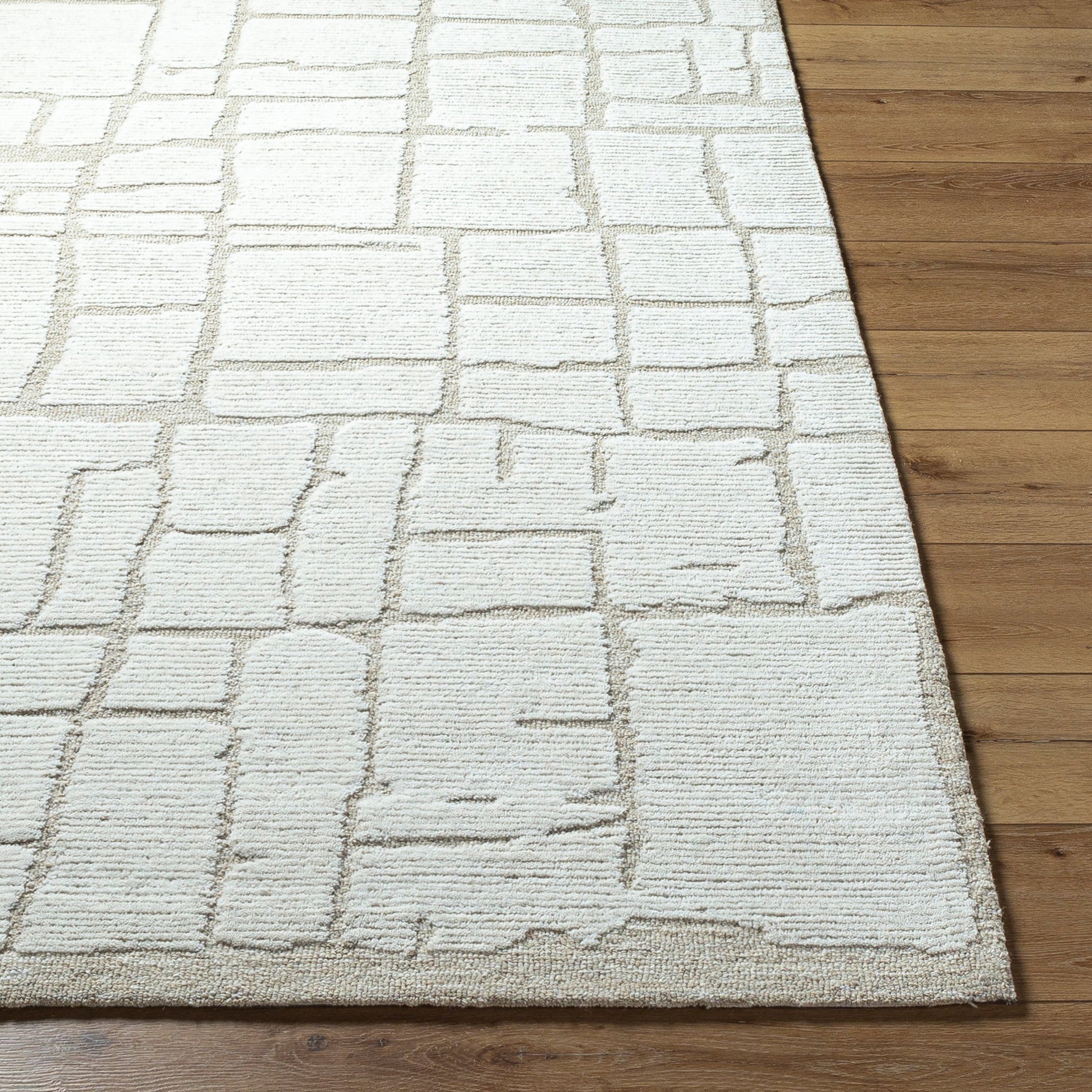 Bianca BNC-2300 Rug by Livabliss. Made from unique in a unique style.