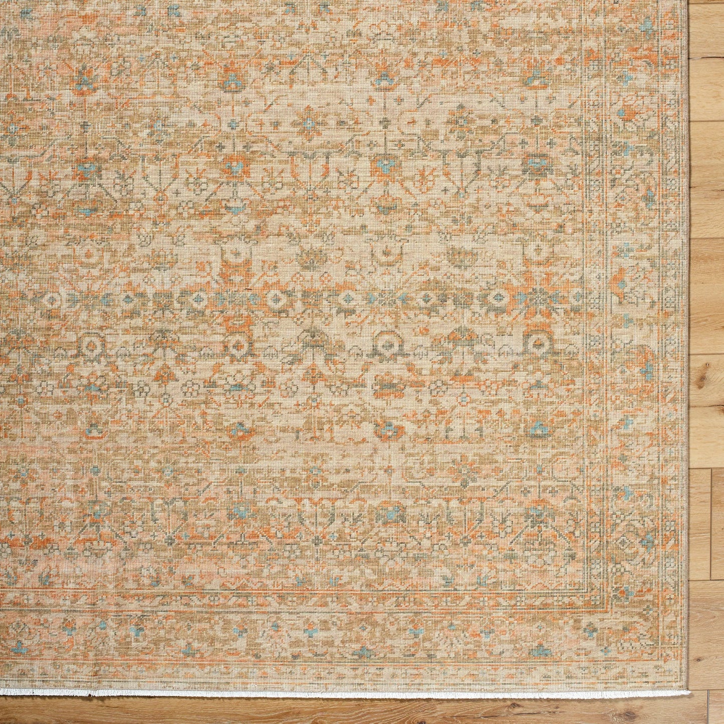008 SI-2169372,SI-2169373,SI-2169374,SI-2169375,SI-2169376,SI-2169377 | Closeup | Renaissance Rug - 541969 by Becki Owens x Surya. Made from wool in a unique style.