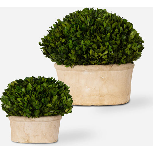Oval Domes Preserved Boxwood (Set of 2) by Uttermost. Made from boxwood foam, terracotta in a transitional style.