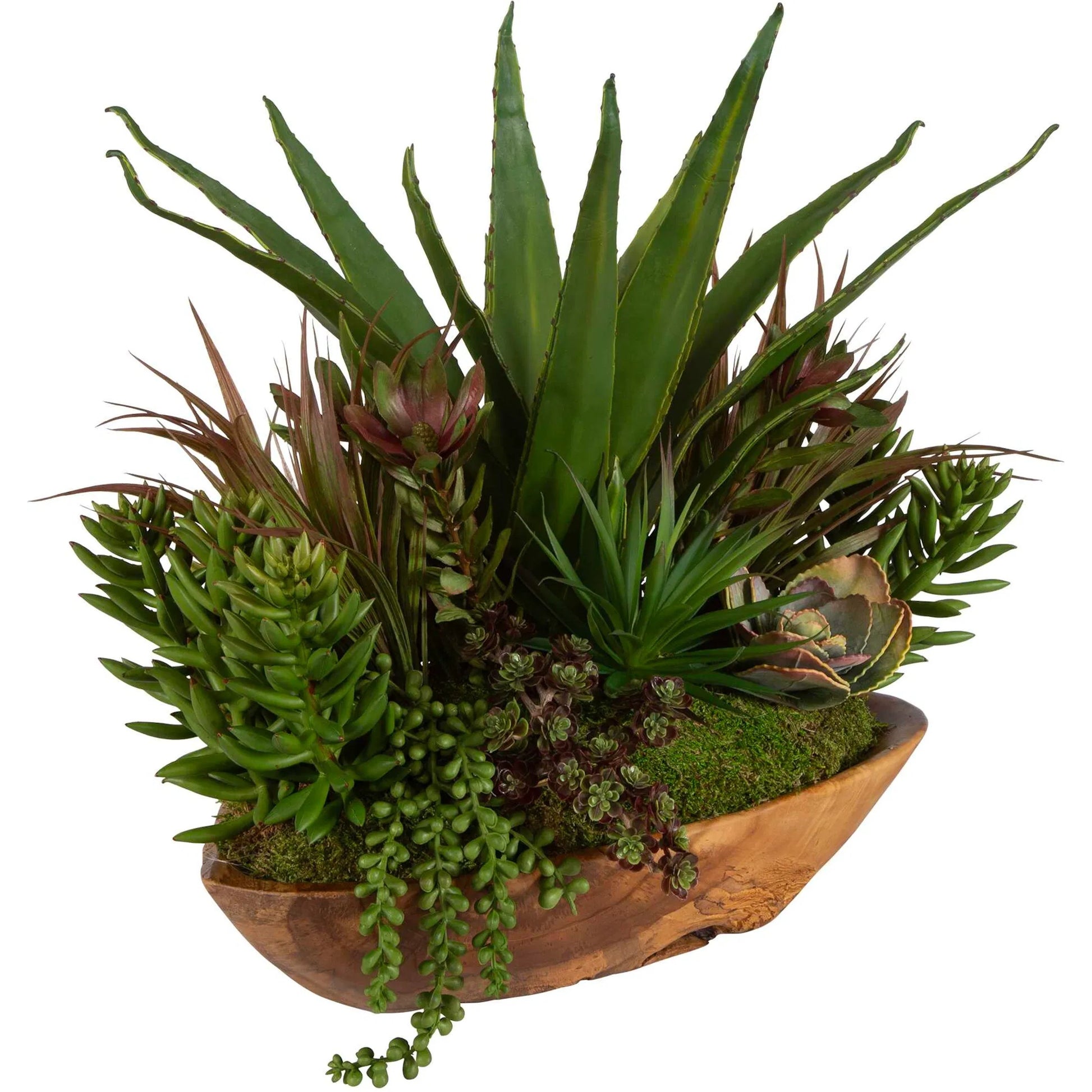 Salar Succulents in Teak Bowl by Uttermost in teak. Made from polyester, foam, teak wood in a modern style.