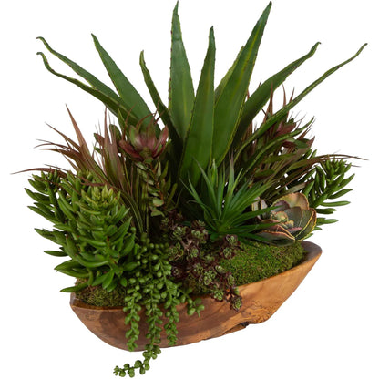 Salar Succulents in Teak Bowl by Uttermost in teak. Made from polyester, foam, teak wood in a modern style.