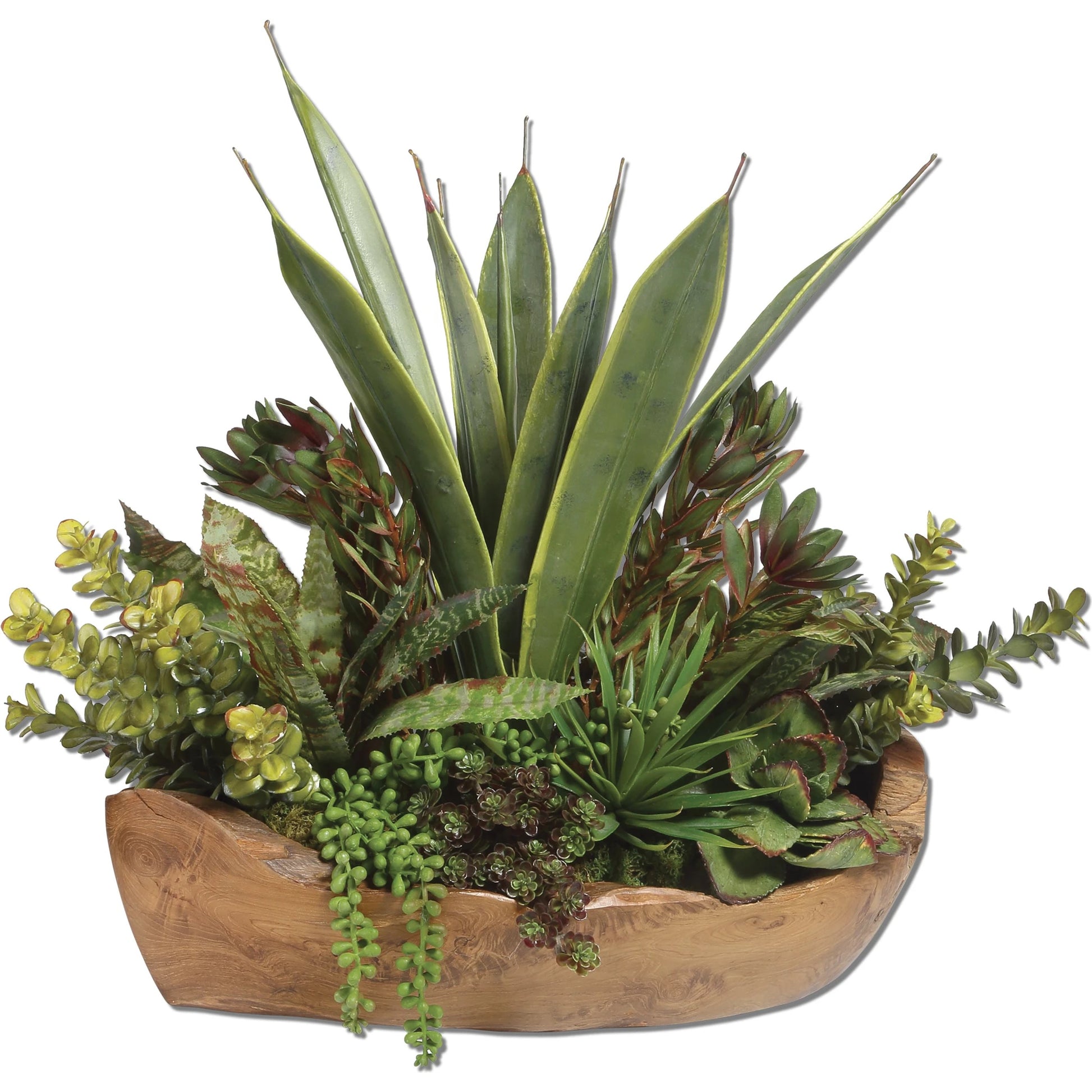 Salar Succulents in Teak Bowl by Uttermost in teak. Made from polyester, foam, teak wood in a modern style.