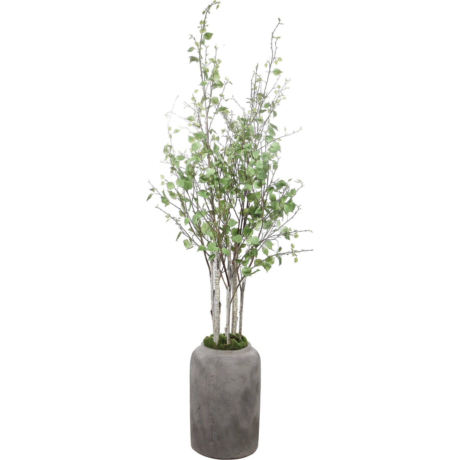 Aldis Potted River Birch by Uttermost. Made from polyester, plastic, iron, vase in a modern style.