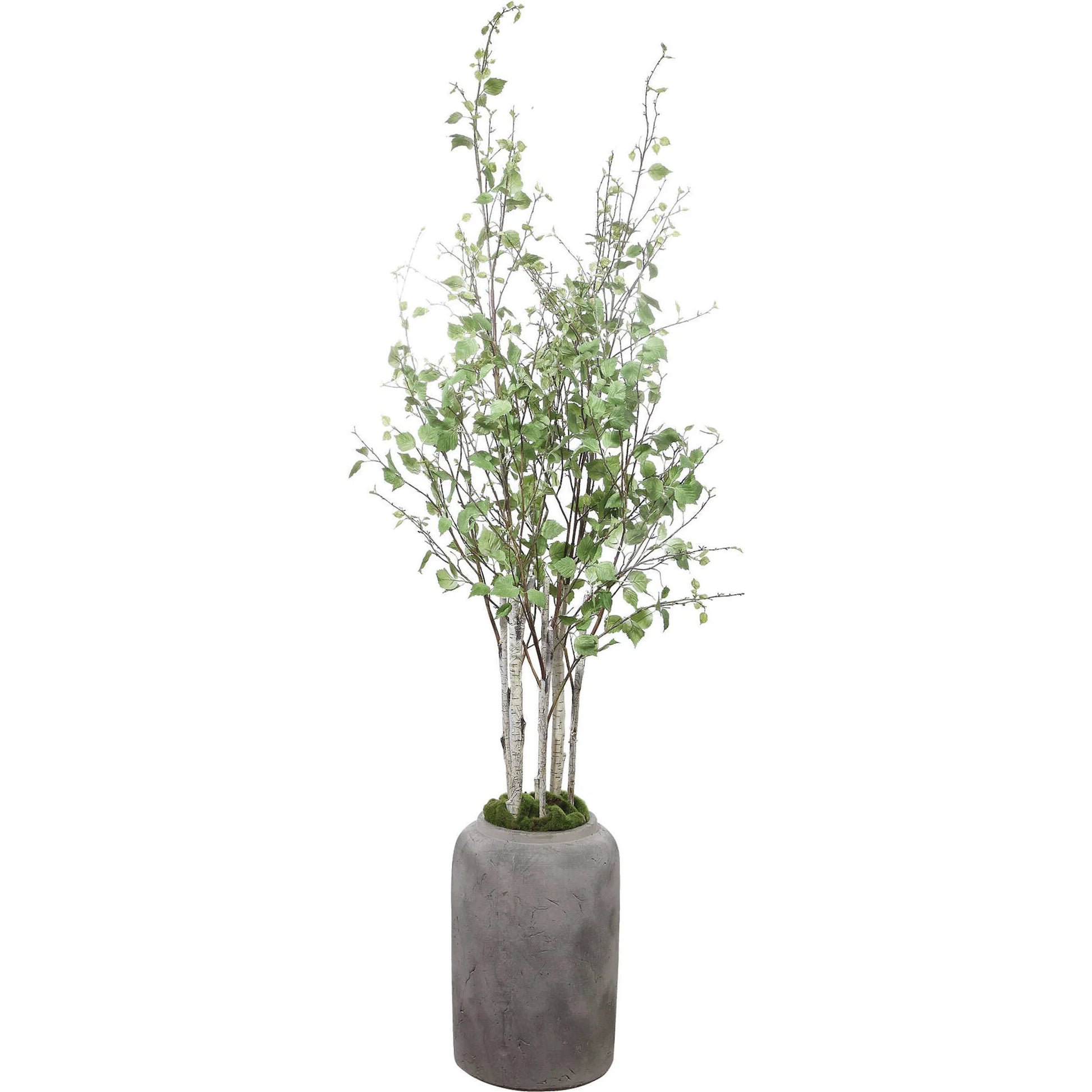 Aldis Potted River Birch by Uttermost. Made from polyester, plastic, iron, vase in a modern style.