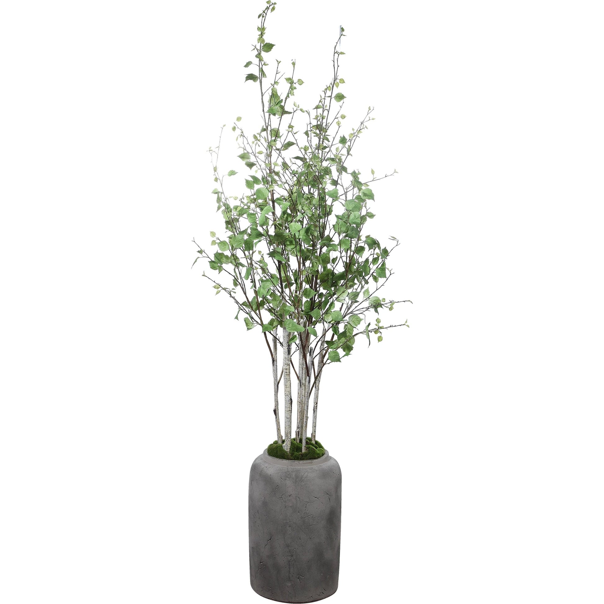 Aldis Potted River Birch by Uttermost. Made from polyester, plastic, iron, vase in a modern style.