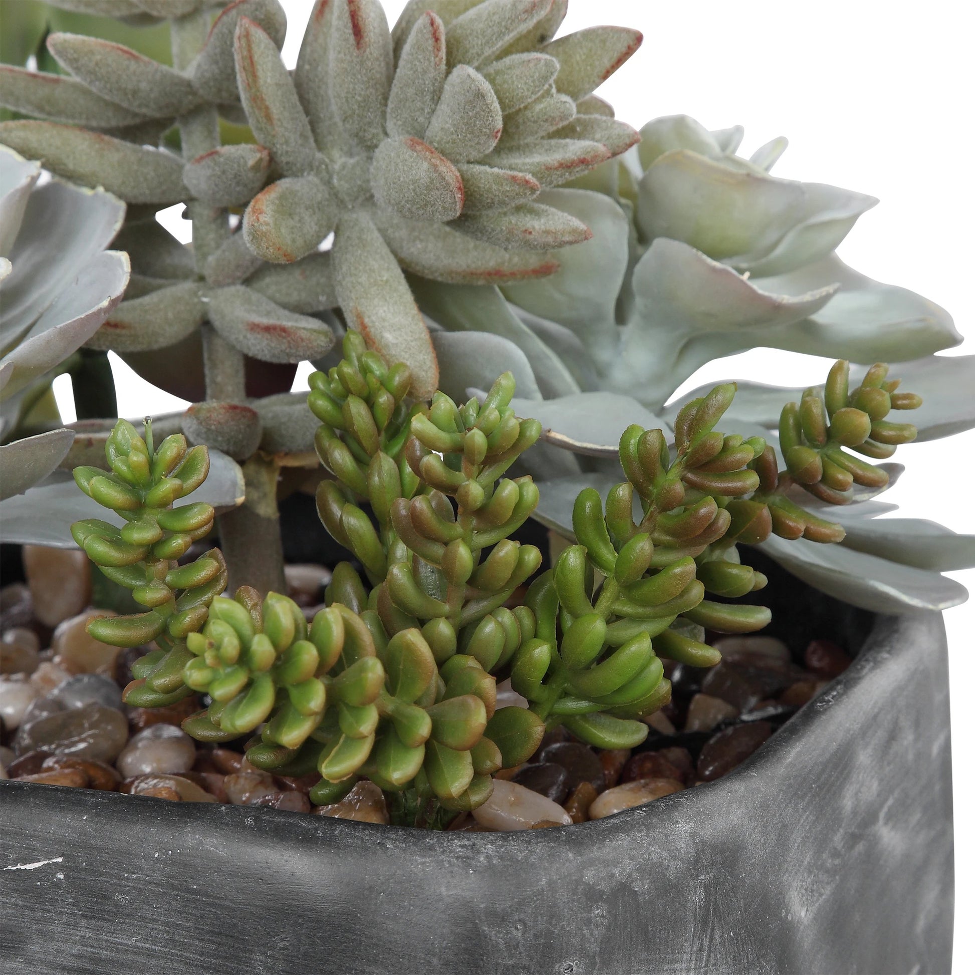 Alverio Desert Garden Succulents by Uttermost. Made from plastic, iron, glue, soil, cement in a cottage & farmhouse style.