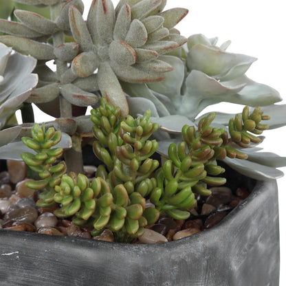 Alverio Desert Garden Succulents by Uttermost. Made from plastic, iron, glue, soil, cement in a cottage & farmhouse style.