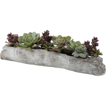 Charita Lush Succulents by Uttermost. Made from plastic, iron, glue, soil, cement in a cottage & farmhouse style.