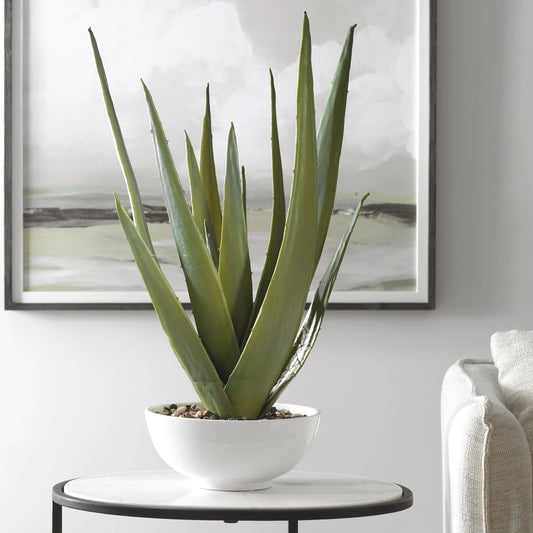 Evarado Aloe Planter by Uttermost. Made from polyfoam, resin, stone, iron, soil in a cottage & farmhouse style.