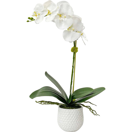 Cami Orchid II by Uttermost in white. Made from polyester, ceramic, foam, bamboo in a coastal style.