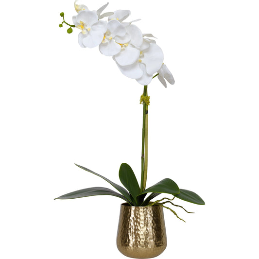 Cami Orchid I by Uttermost in brass. Made from polyester, metal, foam, bamboo in a traditional style.