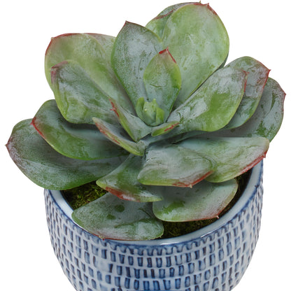 Puebla Greenery by Uttermost in blue, white. Made from plastic, ceramic, latex, foam in a unique style.