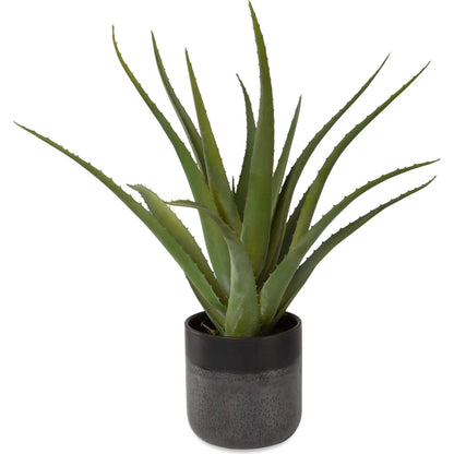 Tucson Aloe Planter by Uttermost in matte, gloss glaze. Made from latex, ceramic, foam in a modern style.