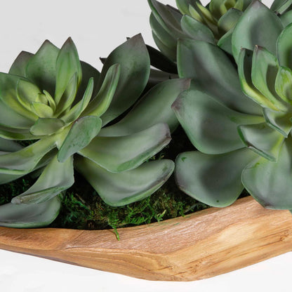 Yuma Succulent Centerpiece by Uttermost in teak. Made from wood, latex, foam in a modern style.