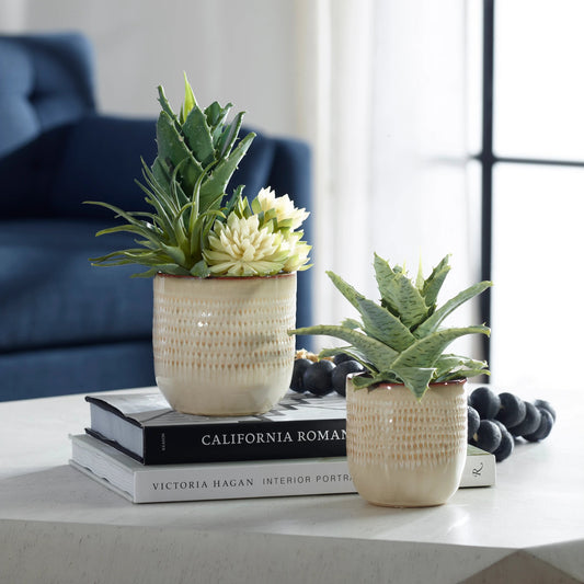 Seaside Succulents by Uttermost in tan. Made from plastic, ceramic, iron, polyester, glue in a modern style.