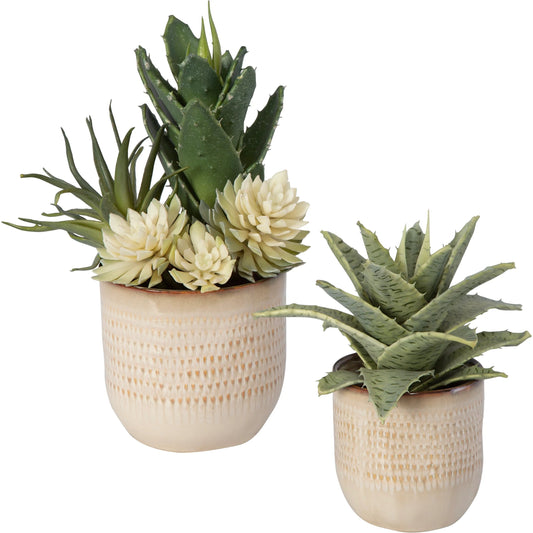 Seaside Succulents by Uttermost in tan. Made from plastic, ceramic, iron, polyester, glue in a modern style.