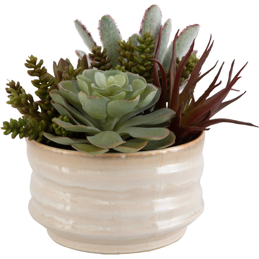 Mesa Succulent Accent by Uttermost in tan. Made from plastic, ceramic, foam, iron, glue in a modern style.