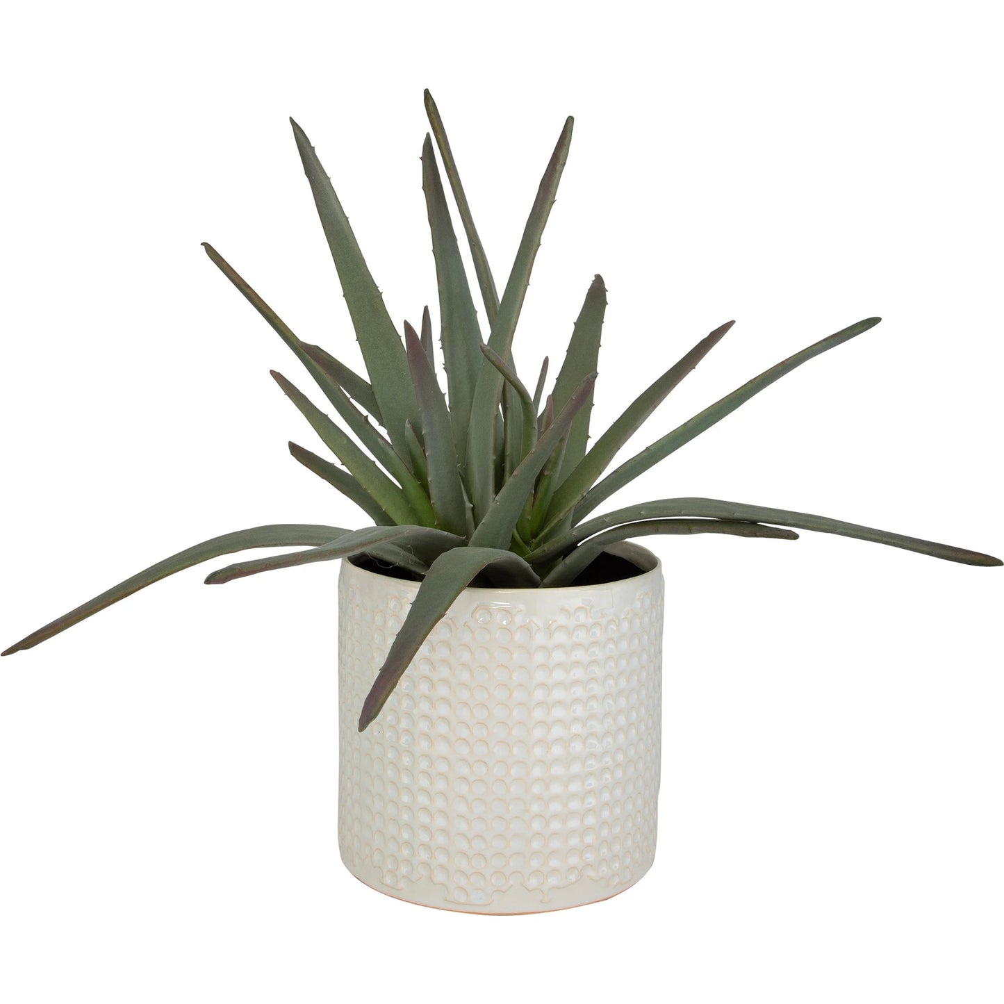 002 SI-2146902 | Primary Silo | Taos Aloe Centerpiece by Uttermost in ivory. Made from foam, ceramic, iron, glue in a modern style.