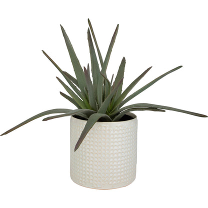 Taos Aloe Centerpiece by Uttermost in ivory. Made from foam, ceramic, iron, glue in a modern style.