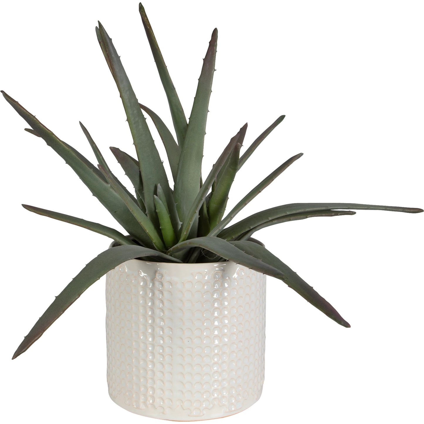 003 SI-2146902 | Primary Silo | Taos Aloe Centerpiece by Uttermost in ivory. Made from foam, ceramic, iron, glue in a modern style.