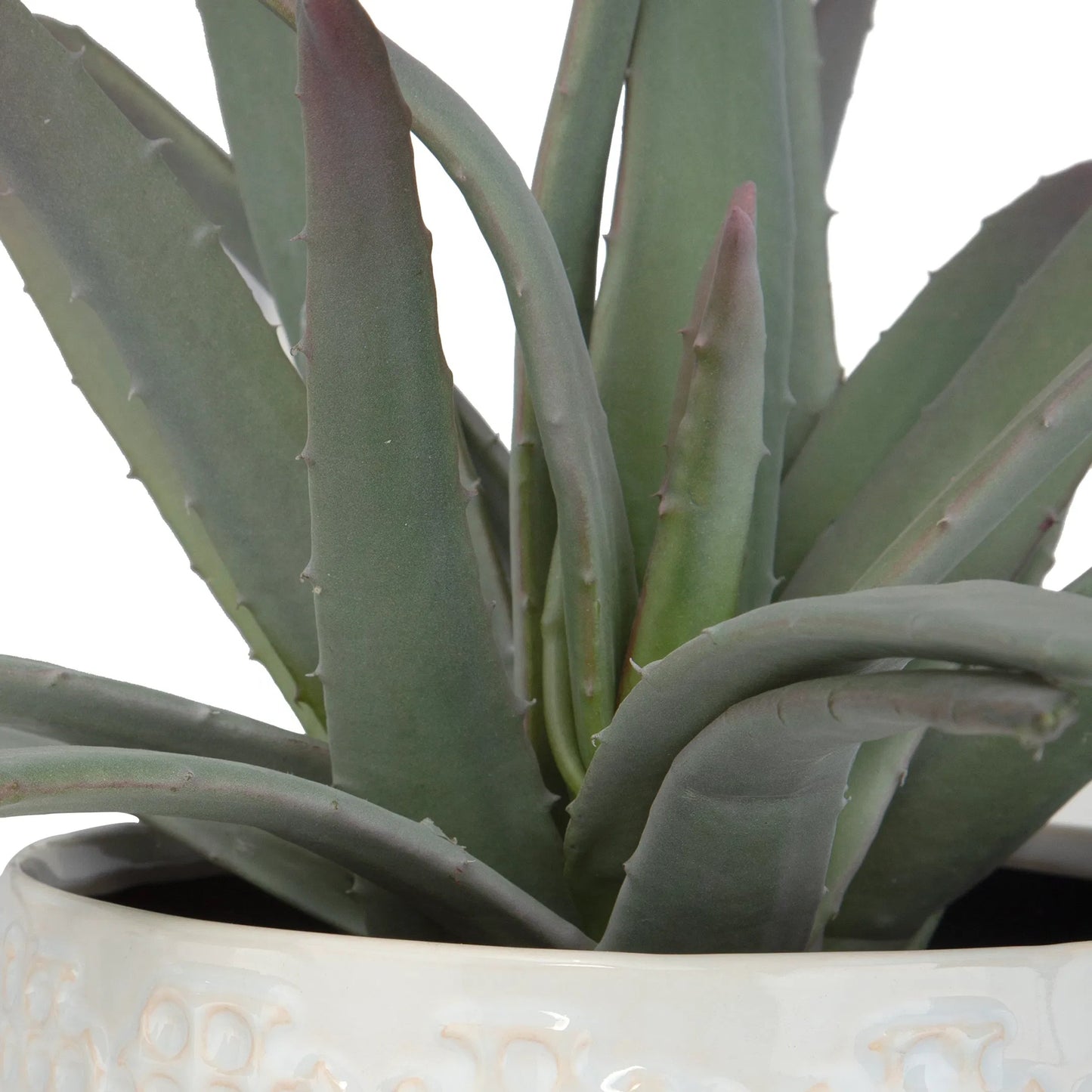 006 SI-2146902 | Unknown | Taos Aloe Centerpiece by Uttermost in ivory. Made from foam, ceramic, iron, glue in a modern style.