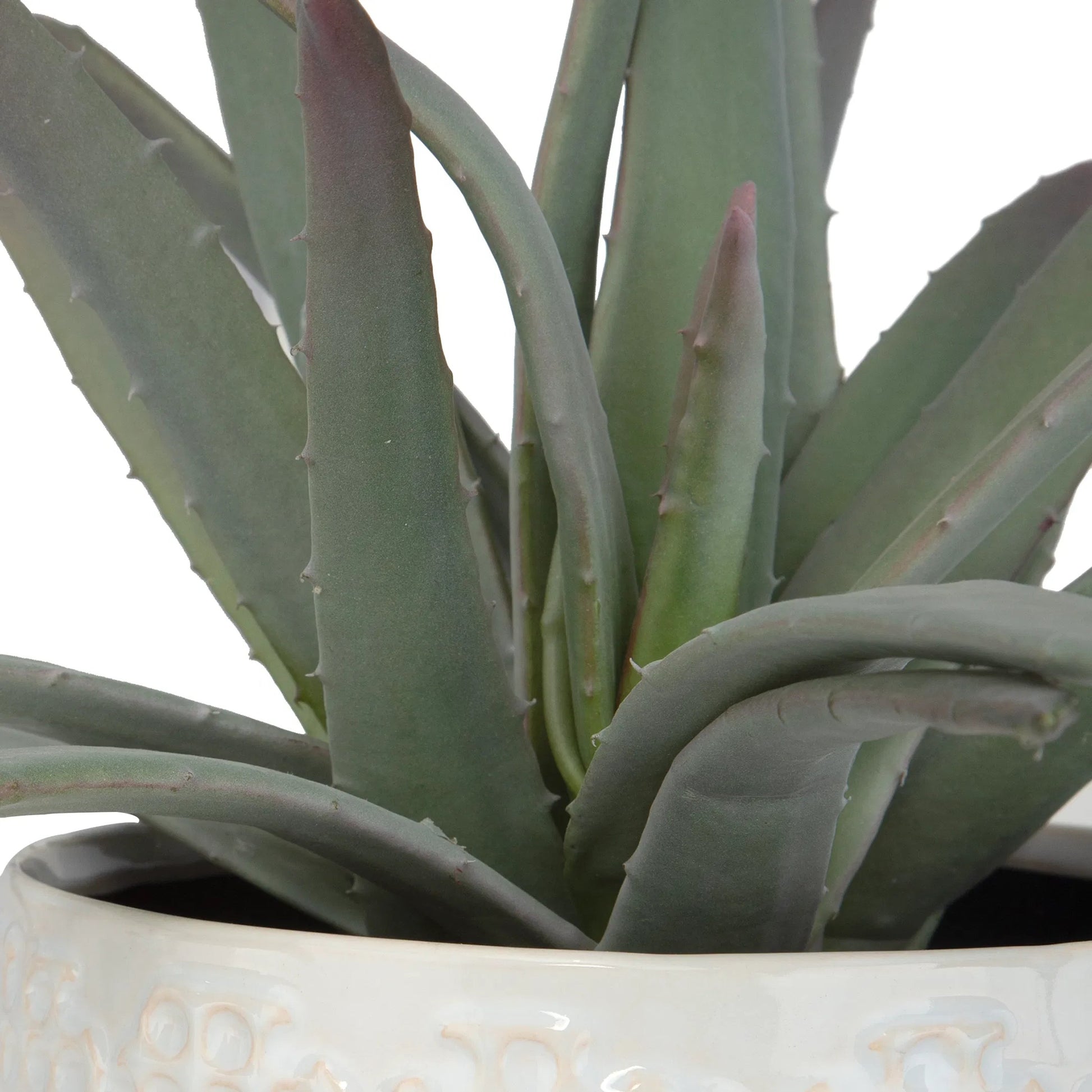 Taos Aloe Centerpiece by Uttermost in ivory. Made from foam, ceramic, iron, glue in a modern style.