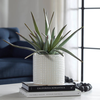 Taos Aloe Centerpiece by Uttermost in ivory. Made from foam, ceramic, iron, glue in a modern style.