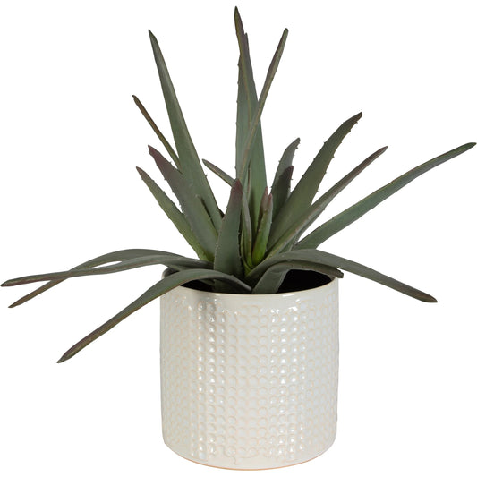 Taos Aloe Centerpiece by Uttermost in ivory. Made from foam, ceramic, iron, glue in a modern style.