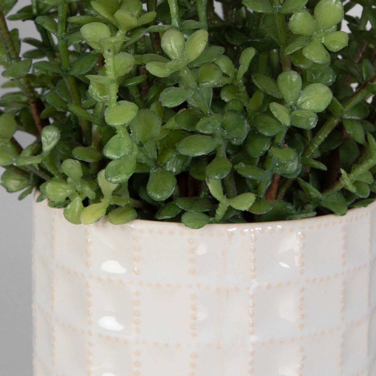 002 SI-2146903 | Closeup | Edgewood Greenery by Uttermost in white. Made from plastic, ceramic, iron, polyester, glue in a modern style.